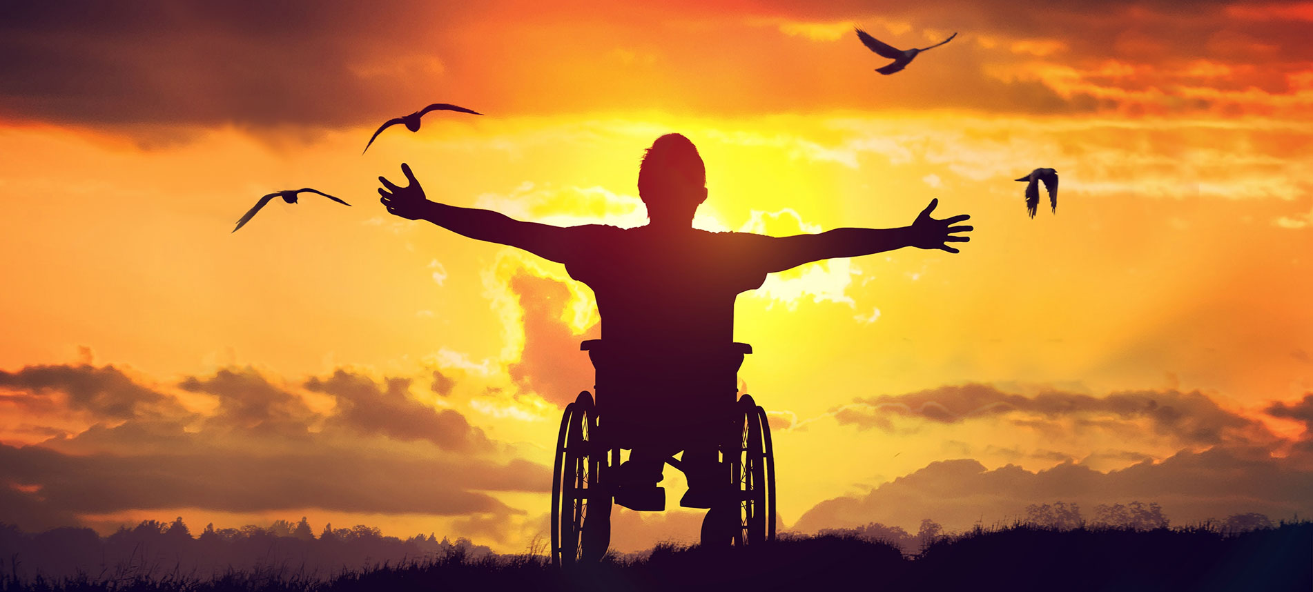 Ace Care OT Services